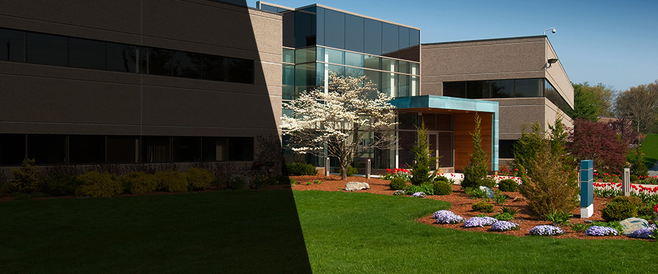 Buchanan Landscapers